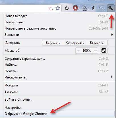 Google Chrome 18 Portable1