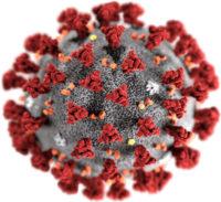 Coronavirus 2019-nCoV